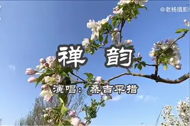 听歌赏景，春有百花秋有月，夏有凉风冬有雪。禅韵非常好听的歌曲视频封面
