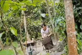 了解荒野，学习更多的荒野技能愿和您一起探讨荒野视频封面