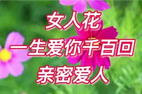梅艳芳经典歌曲《女人花》《一生爱你千百回》《亲密爱人》视频封面