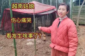 越南姑娘远嫁湖南，结婚5年后伤心大哭，看湖南老公对她做了啥视频封面
