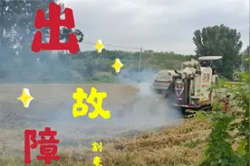 河南南阳农村雨后小麦开始收割，收割机冒烟着火了？部分麦出芽了视频封面