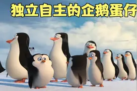 年幼开始便是孤儿的企鹅三兄弟便学会了独立自主、自强。视频封面