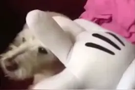 这是一个悲伤的故事，不要笑。当然只要不上班我都是很快乐的。视频封面