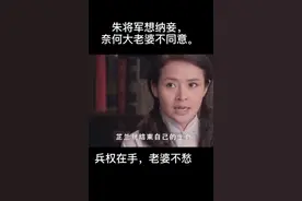 朱将军小纳妾。视频封面