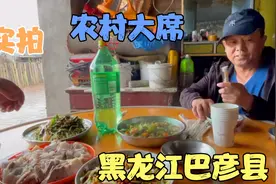 实拍黑龙江巴彦县，还是喜欢农村以往的热闹，如今已经静悄悄视频封面
