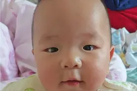 婴儿届的通用语~昂古