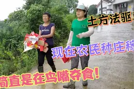 土方法驱赶小鸟，这种方法效果简直杠杠的，鸟嘴夺食视频封面