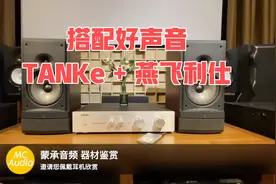 推荐好搭配 美国燕飞利仕音箱搭配坦克功放 好声音视频封面