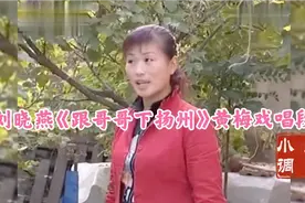 民间小调:刘晓燕《跟哥哥下扬州》经典黄梅戏唱段视频封面