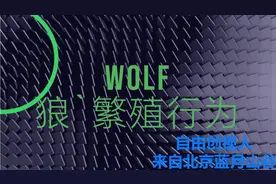 狼繁殖方式是怎样的?繁衍过程中会不会发生回交？自由创视人揭秘