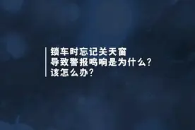 用车小常识#锁车忘记关窗引起警报鸣响怎么办？视频封面