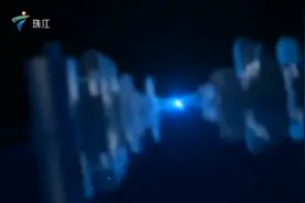 金毛咬死贵宾 狗蚊狗引发大纠纷，疯狂砸犬的行为，我们如何看待视频封面