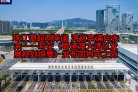 珠江潮起两岸阔 湾区奔涌向未来视频封面