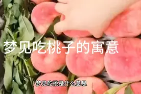 梦见吃桃子的寓意视频封面