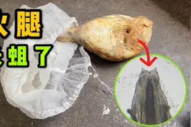火腿长蛆了还能吃吗？把它放大200倍像外星生物一样可怕！视频封面