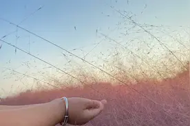 妈妈我爱你，我最爱最爱你。因为有你这是我听过最美的告白。视频封面