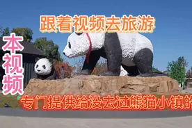 牡丹江熊猫小镇开馆了视频封面