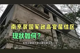南京国民政府的高官聚居地，如今很多杂草丛生，大部分荒废