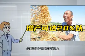 这才是最好的叶面肥配方，喷后40小时叶片变浓绿，增产20%以上