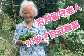 四川农村留守老人，90多岁了还种菜，见孙女回来高兴的像个孩子视频封面
