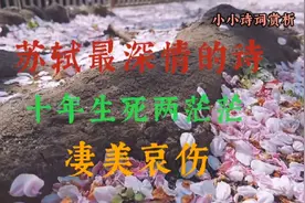 苏轼最深情的诗《江城子·乙卯正月二十日夜记梦》十年生死两茫茫视频封面