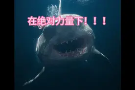 #视觉震撼 #巨物恐惧症视频封面