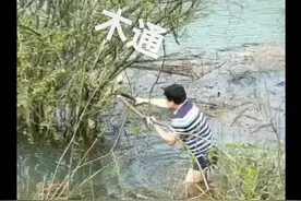 万能通视频封面