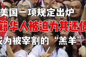 美国一项规定出炉，美籍华人被迫其还债，成为被宰割的“羔羊”视频封面