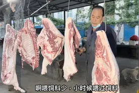 河南农村大哥卖桐柏山里面的黑土猪肉11块钱一斤，贵吗？视频封面