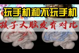 孩子玩手机和不玩手机，大脑发育对比？视频封面