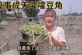 上回腌的豆角太成功了，媳妇把吃不完的在腌制一遍，留着冬天吃视频封面
