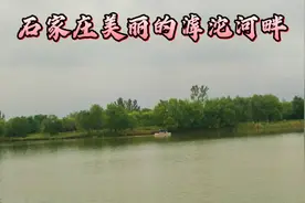 石家庄人的母亲河《滹沱河》水清，岸绿，景色怡人，风景美如画！视频封面