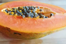 木瓜加牛奶一起煮水喝，做法简单，营养丰富味道好，天天喝都不腻视频封面