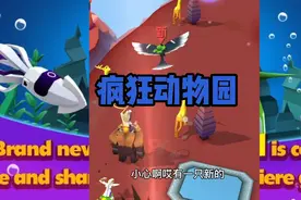 疯狂动物园：有些动物必须升级栖息地，我们才有机会遇上它们视频封面