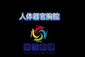 人体器官胸腔