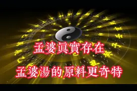 孟婆真实存在？孟婆汤的原料更奇特视频封面