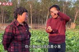 农民种葱一年挣20万！养羊大叔彻底动心了，难道也要转行？视频封面