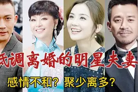 20对低调离婚的明星夫妻，原来他们曾经是夫妻，他们为了什么离婚视频封面