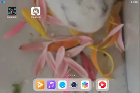 鸡精猫眼