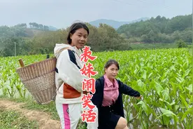26岁漂亮城里表妹跟表嫂干农活，没想表妹闹了笑话，听她说了啥视频封面
