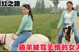 全网第一个骑羊的女人，她被网友攻击为无情冷血，羊到底能不能骑