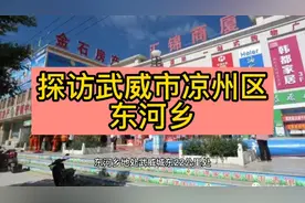 探访武威市凉州区东河乡