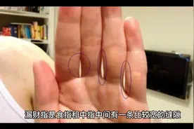 漏财指视频封面
