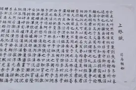 写上林赋，得心上人视频封面