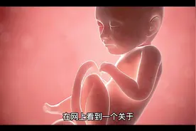 了解胎儿的发育过程视频封面