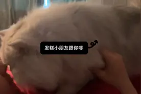 嗲嗲小发糕视频封面