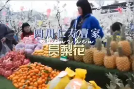 春暖花开，四川仁寿曹家，梨花园赏梨花！好热闹！视频封面