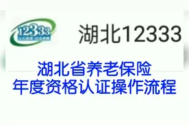 湖北省养老保险资格认证网上自助认证操作流程视频封面