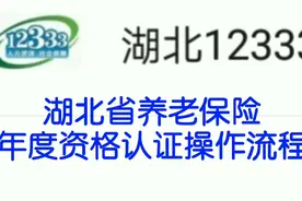 湖北省养老保险资格认证网上自助认证操作流程视频封面