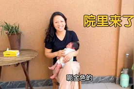 院里进了一条蛇，云姐抱着宝宝往屋里跑，夜晚宝宝拉着爸爸手睡觉视频封面